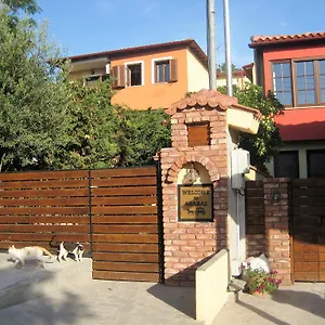 Arabas Pensiune